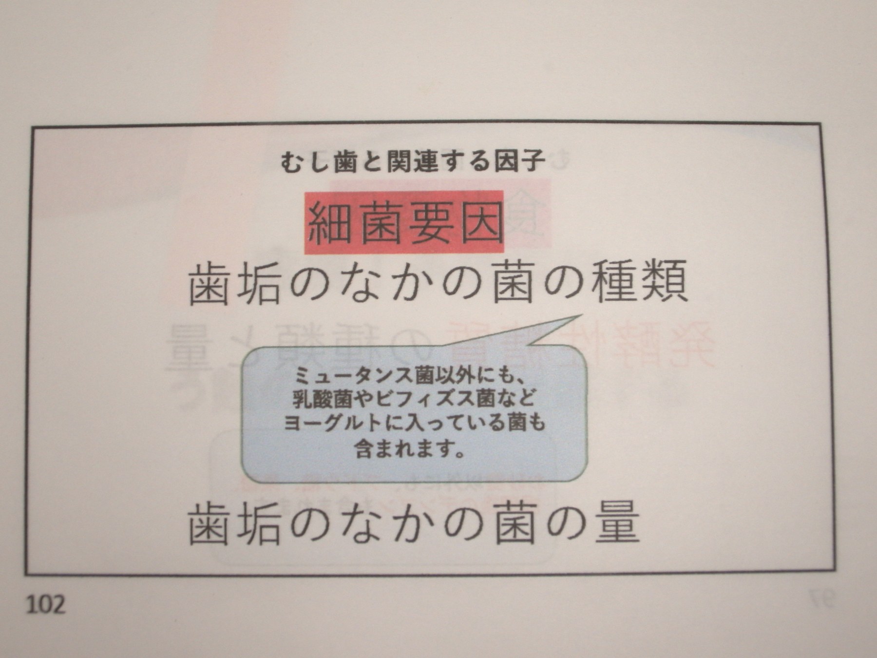 むし歯と関連する細菌要因
