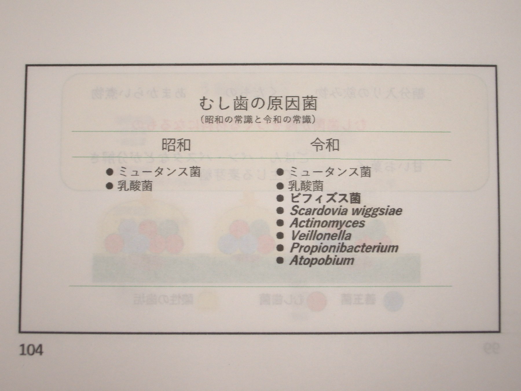 むし歯の原因菌
